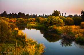 Little Deschutes River 2-8479 Little Deschutes River 2-8479